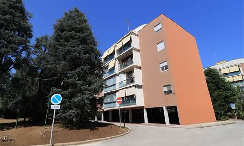 COMODO QUADRIVANI LIBERO